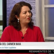 Pluralidad y contrapesos en el Congreso, Efekto Noticias (19jun18)